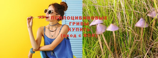 метамфетамин Верея