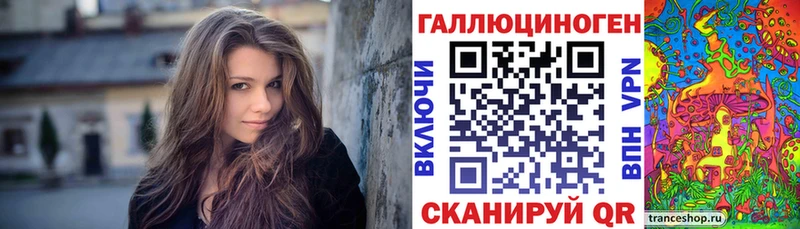 Псилоцибиновые грибы прущие грибы  Сураж 